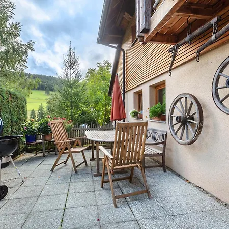 Connerhof Todtnauberg Διαμέρισμα Todtnau